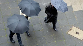 Unzumutbare Grummel-Kollegen