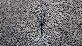 Schaltpläne für die Krisenbewältigung