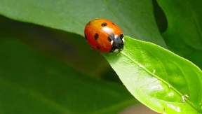 Mehr Durchblick für nachhaltig orientierte Anleger