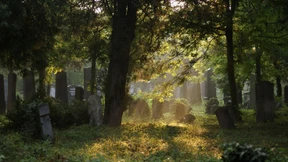 Morbider Humor in Wien