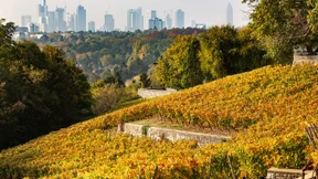 Zu Golde ward die Welt