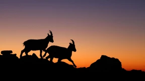 Gott ist kein Astronaut