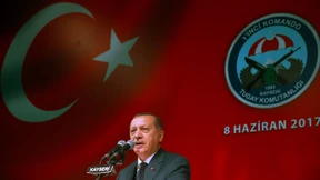 Was ein Erdogan-Anhänger mit einem AfD-Fan gemein hat 