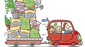 Ist Rindenmulch der ideale Deckmantel?