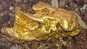 Die Notenbank drückt den Goldpreis