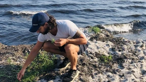 Vom Strand auf den Teller