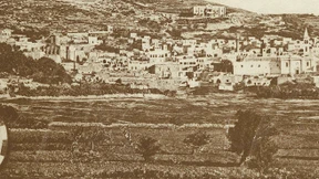 Palästina und die zionistische Frage