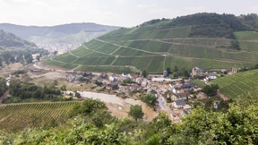 Neue Hoffnung für Winzer im Ahrtal