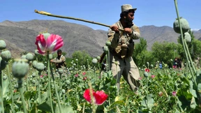 Das Ende der Prohibition