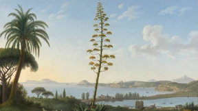 Silhouetten  südlicher Sehnsucht