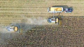 In jugoslawischer Tradition