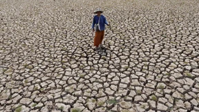 Schlimmste Trockenheit seit Jahrzehnten