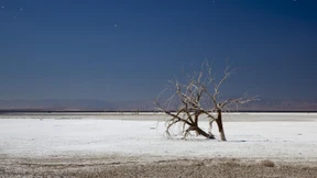 Atommüll im Regenwald? Keine schlechte Idee!