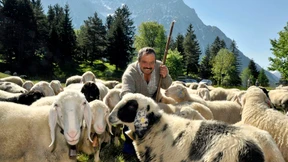 „Manchmal wird eines vom Blitz getroffen“