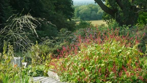 Der sanfte Wilde von der Insel