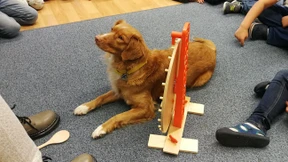 Wie eine Schule introvertierte Kinder fördert