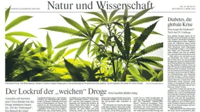 Wie weiter im Umgang mit Drogen?