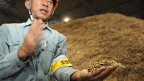 Energiewende auf Japanisch