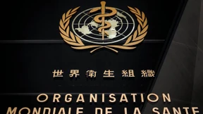 WHO setzt Prüfausschuss ein