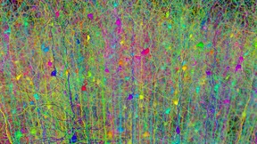 Wo die Lyrik der Ökonomie weit voraus ist