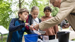Mehr Klimabildung in Schulen!