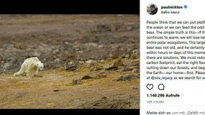 „So sieht es aus, wenn ein Eisbär verhungert“