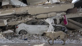 Zahl der Erdbeben-Opfer steigt auf über 40.000