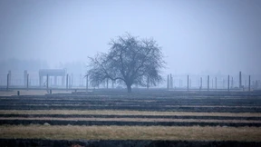 Erinnerung am Ende der Zeitzeugenschaft