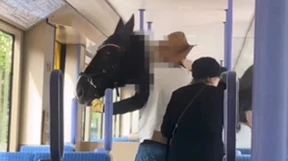 Mann steigt mit Pferd in die Straßenbahn ein