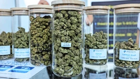 Steht die Cannabis-Legalisierung vor dem Aus?