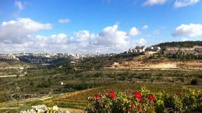 Meine Geburtstagsfeier im Niemandsland 