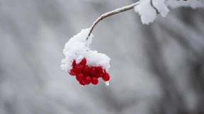 Frost und Schnee endgültig in Deutschland angekommen