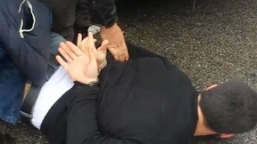 Mitglied der Pink-Panther-Bande gefasst