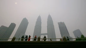 Die grüne Lunge wird braun 