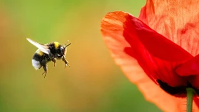 Der schale Duft der Chemie