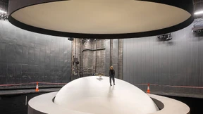 Die glückliche Gastarbeiterin