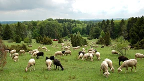 Leichtes Erdbeben auf Schwäbischer Alb sorgt für Unruhe