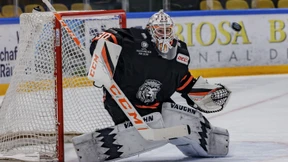 Gelungener Kraftakt der Löwen Frankfurt