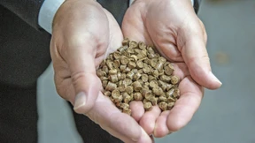 Aus Stroh wird Öko-Sprit