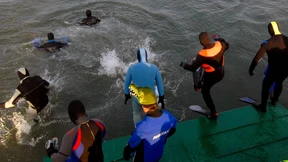 Taucher springen in den Rhein 
