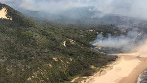 Brand auf Fraser Island unter Kontrolle