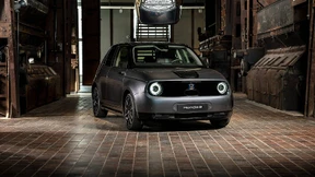 Ein Strauß spannender Möglichkeiten