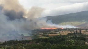 Waldbrände auf Maui