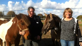 Letzte Rettung für verarmte Pferdehalter