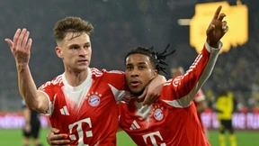 Die Orcas und der Kugelfisch