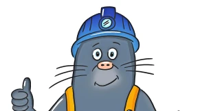 Kein Weg vorbei am Stau