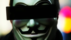 Schwärme über dem Grundgesetz 