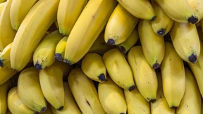Obst als Kunstobjekt