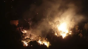 Algerien kommt nicht gegen die Flammen an