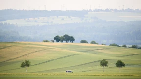 Schlechtere Getreideernte in Deutschland erwartet